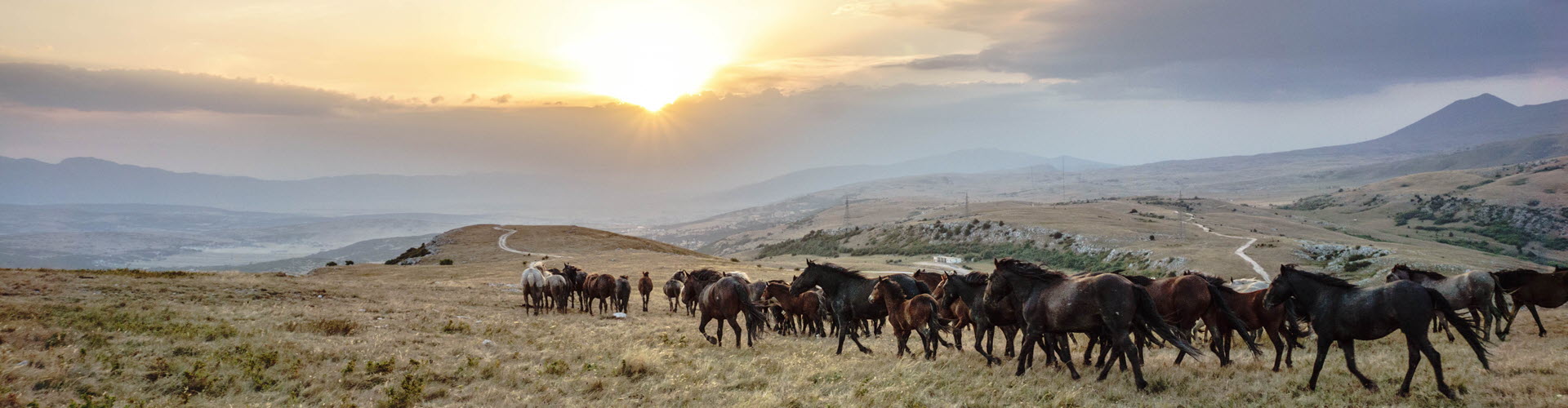 Blog-hero-GotoBosnia
