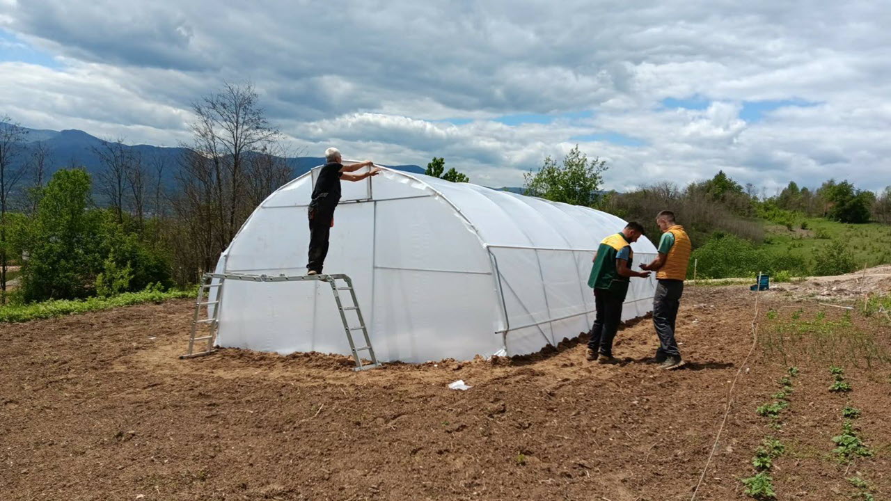 Kweek kas opbouw - Gotobosna